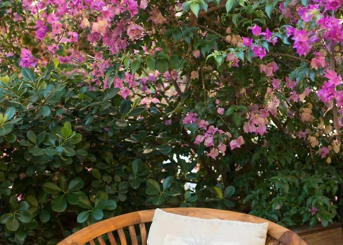 Palm Gallery Hotel 3*