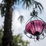 Hotel Palm Gallery