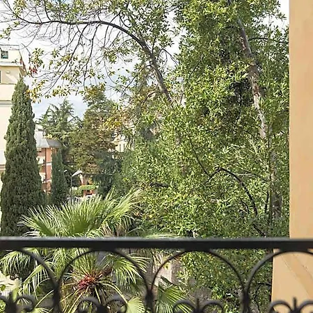 Palm Gallery