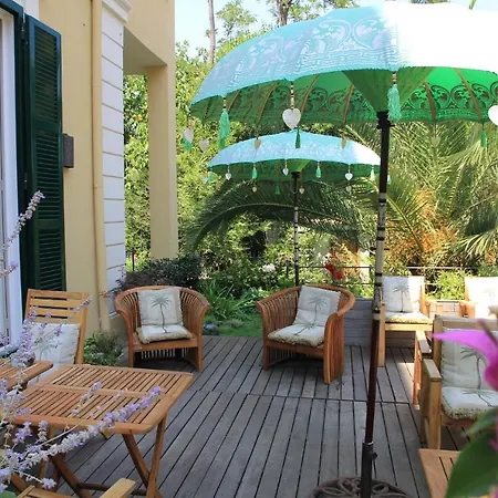 Hotell Palm Gallery 3*