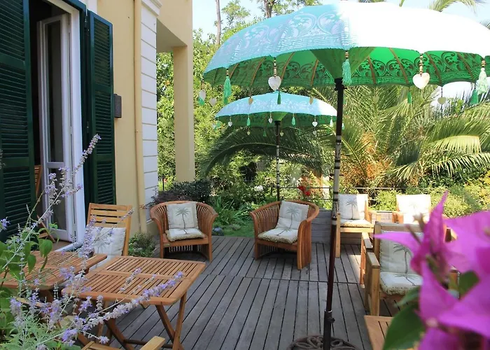 Hotel Palm Gallery 3*