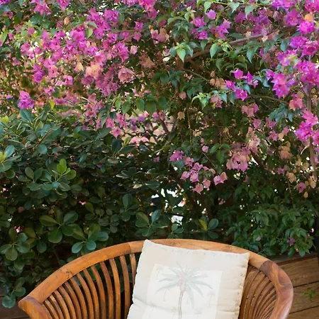 Palm Gallery Hotel 3*