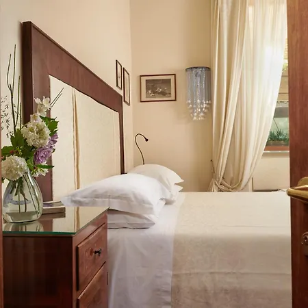 Palm Gallery فندق