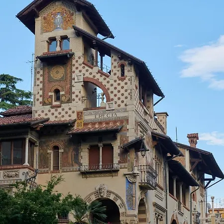 Palm Gallery فندق