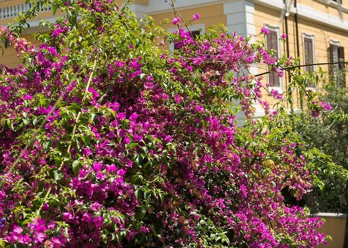 Palm Gallery Szálloda